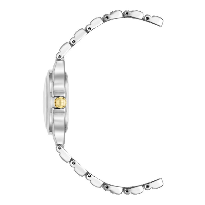 ANNE KLEIN AK-3813SVTT Kadın Kol Saati - Thumbnail