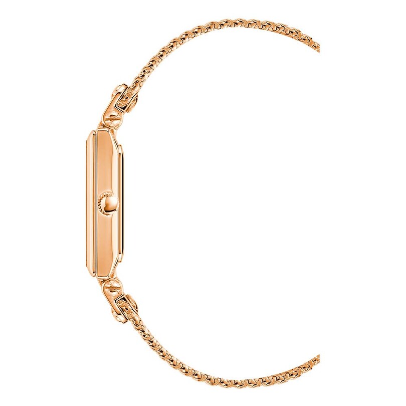 ANNE KLEIN AK-3882RGRG Kadın Kol Saati - Thumbnail