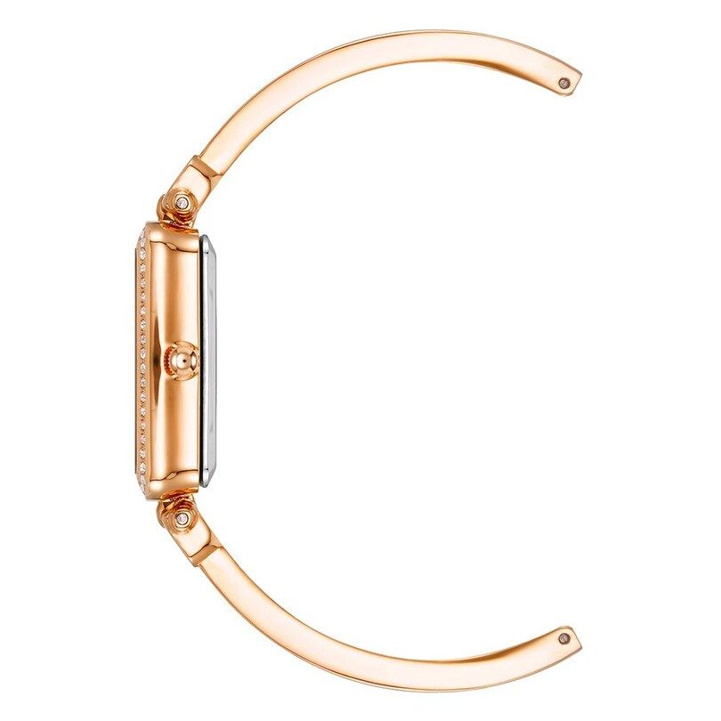 ANNE KLEIN AK-3898BHST Kadın Kol Saati - Thumbnail