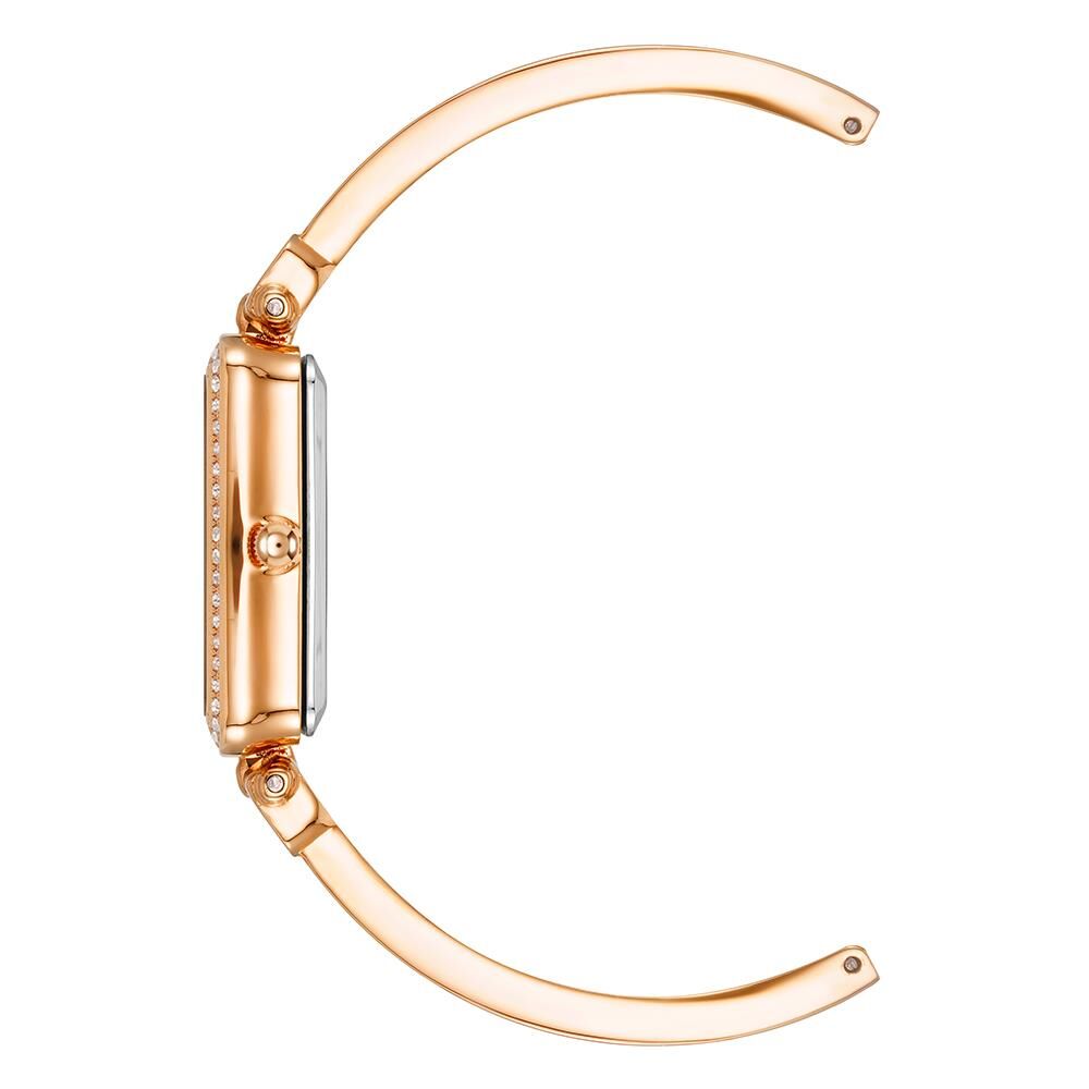 ANNE KLEIN AK-3898BHST Kadın Kol Saati