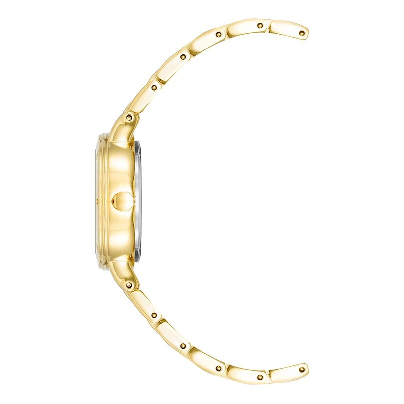 ANNE KLEIN AK-4014WTGB Kadın Kol Saati - Thumbnail