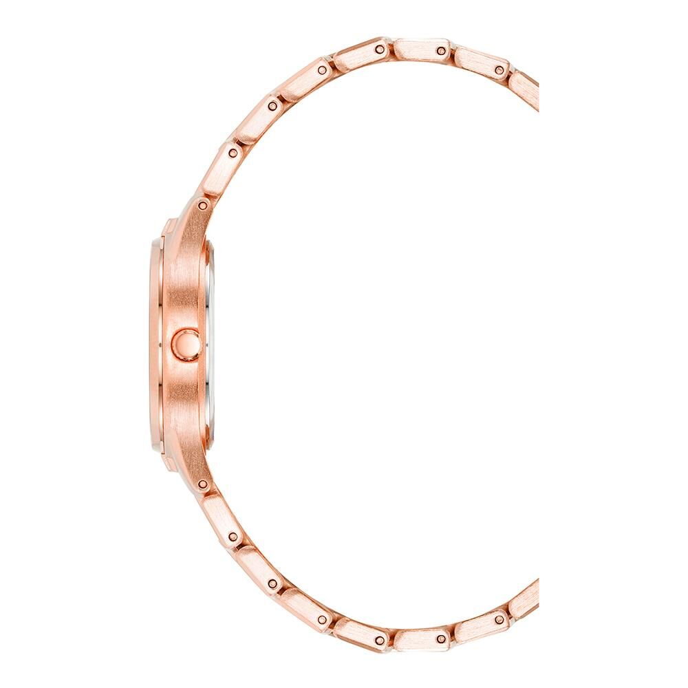 ANNE KLEIN AK-4060RGRG Kadın Kol Saati