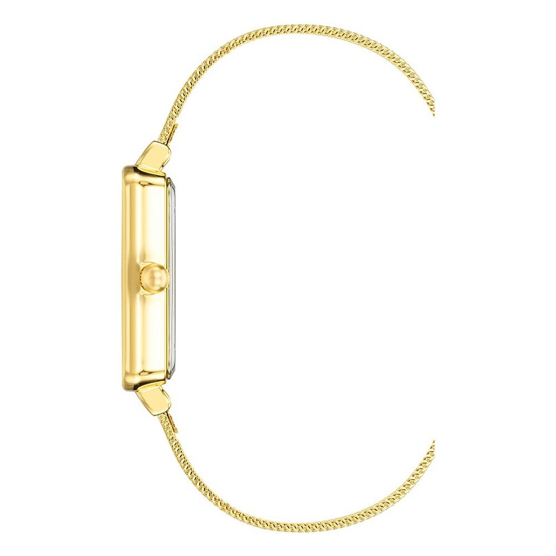 ANNE KLEIN AK-4170CHGB Kadın Kol Saati - Thumbnail