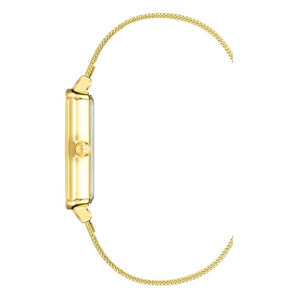 ANNE KLEIN AK-4170CHGB Kadın Kol Saati