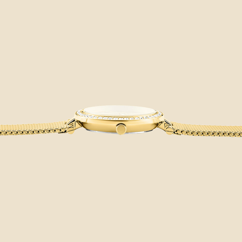 CLYDA CLA805DDD Kadın Kol Saati