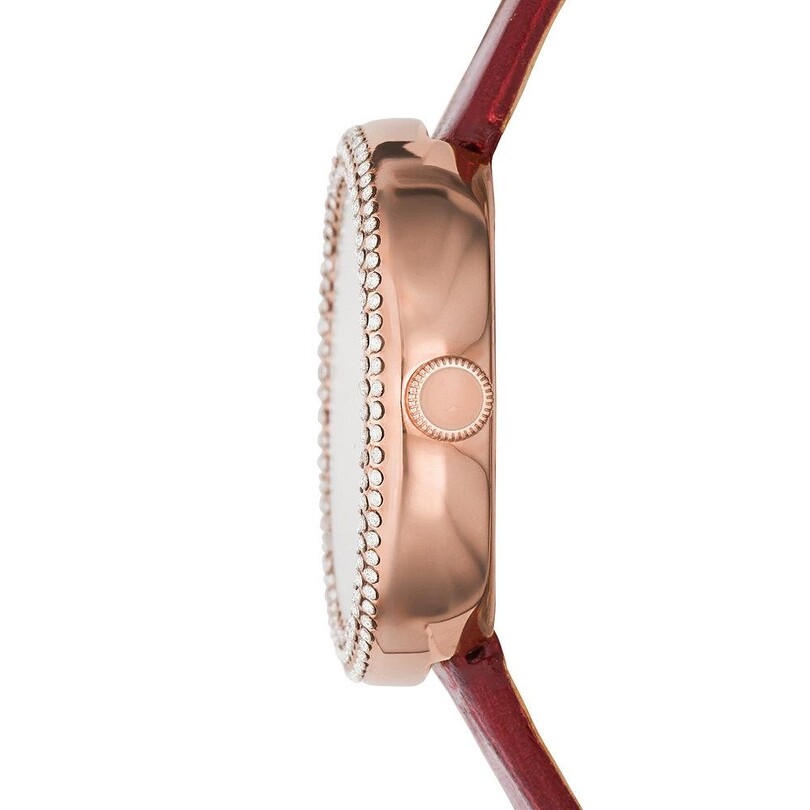 EMPORIO ARMANI AR11357 Kadın Kol Saati - Thumbnail