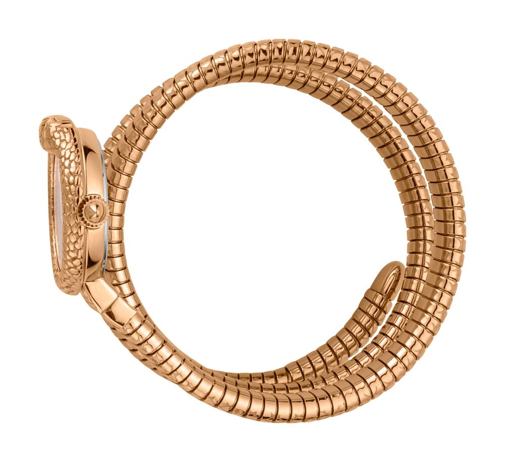 JUST CAVALLI JC1L162M0045 Kadın Kol Saati