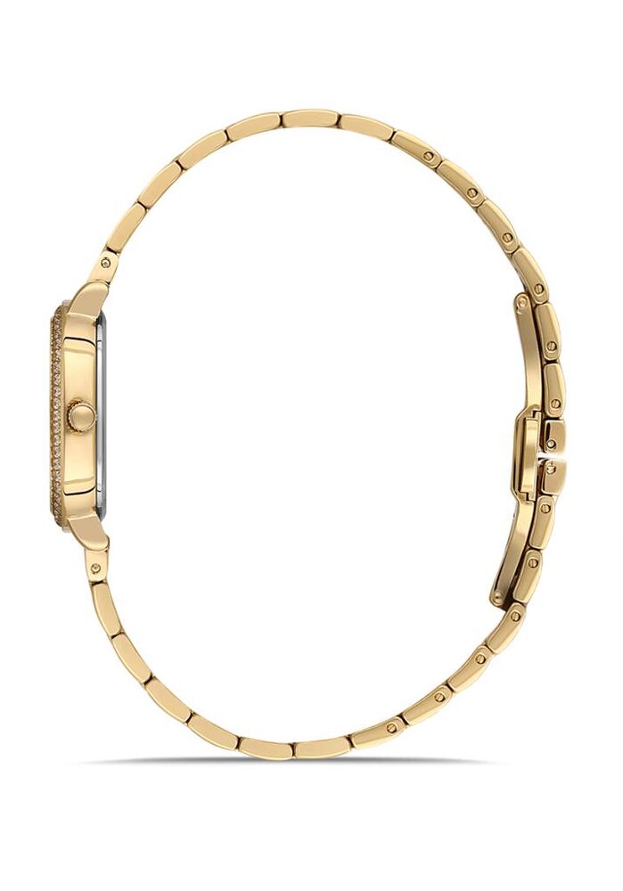 Momentus SS224G-08SG Kadın Kol Saati