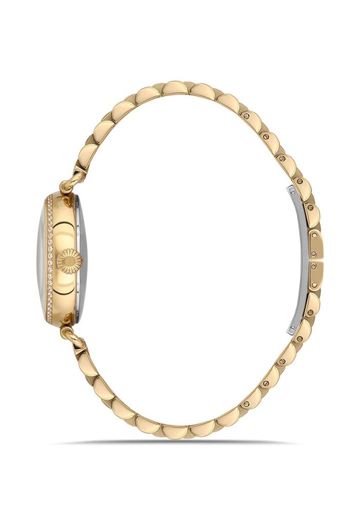 Momentus SS340G-02SG Kadın Kol Saati