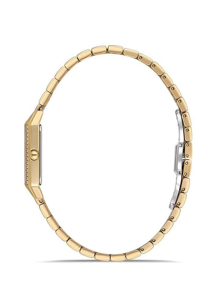 Momentus SS391G-15SG Kadın Kol Saati