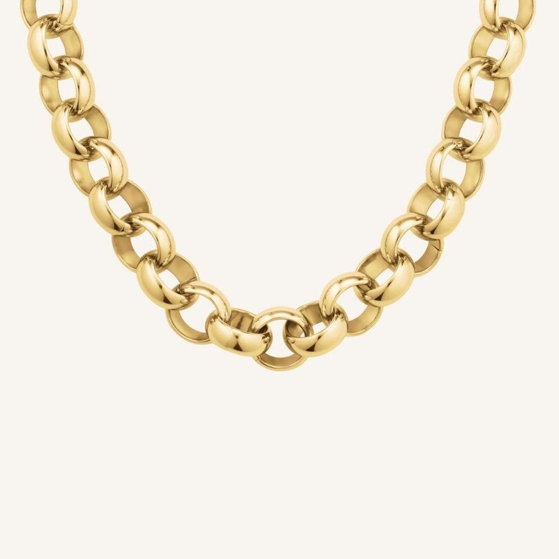 Rosefield JNCNG.J892 Kalın Çelik Kolye - Thumbnail