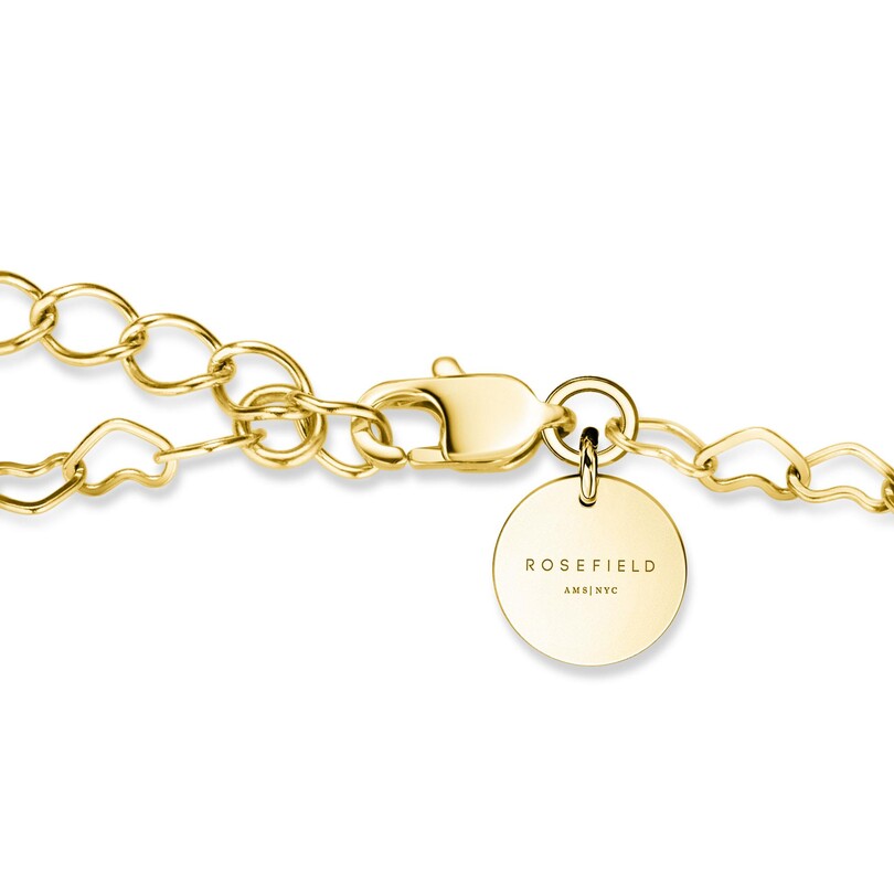 Rosefield JNHCG.J684 Zincir Çelik Kolye - Thumbnail