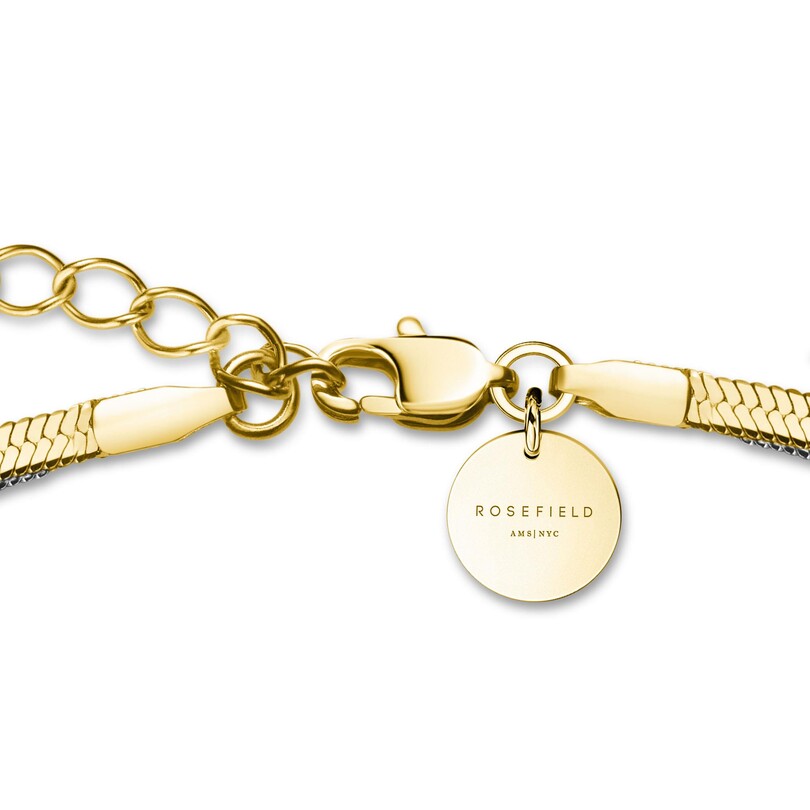 ROSEFIELD JNSCD.J676 Çift Renk Çelik Kolye - Thumbnail