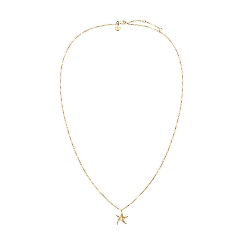 ROSEFIELD TAKI - Rosefield JNSNG.J830 Deniz Yıldızı Çelik Kolye