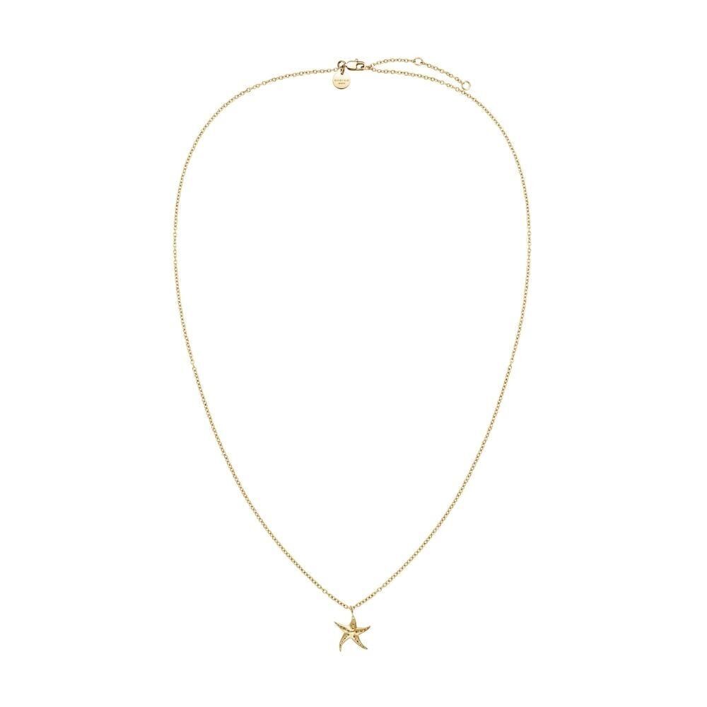 Rosefield JNSNG.J830 Deniz Yıldızı Çelik Kolye