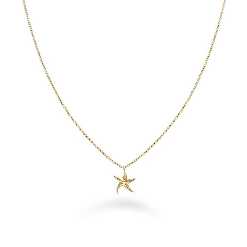 Rosefield JNSNG.J830 Deniz Yıldızı Çelik Kolye - Thumbnail