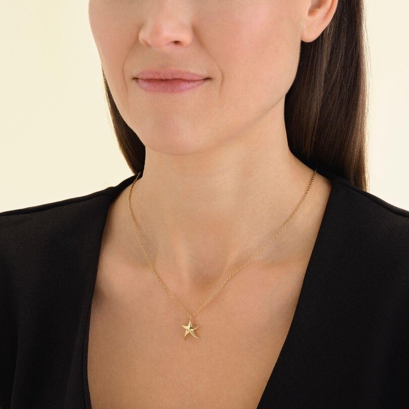 Rosefield JNSNG.J830 Deniz Yıldızı Çelik Kolye - Thumbnail